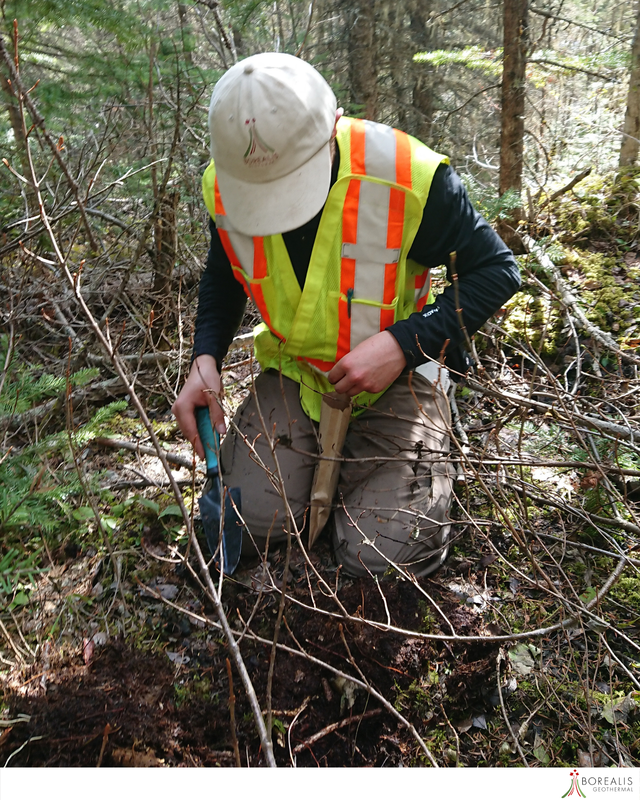 A Borealis Geothermal Team member with a neon worker's vest conducts Soil Geochemistry test